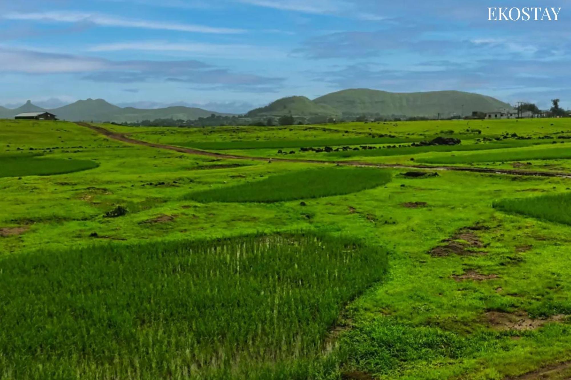 Ekostay - Neptune Villa Igatpuri Dış mekan fotoğraf