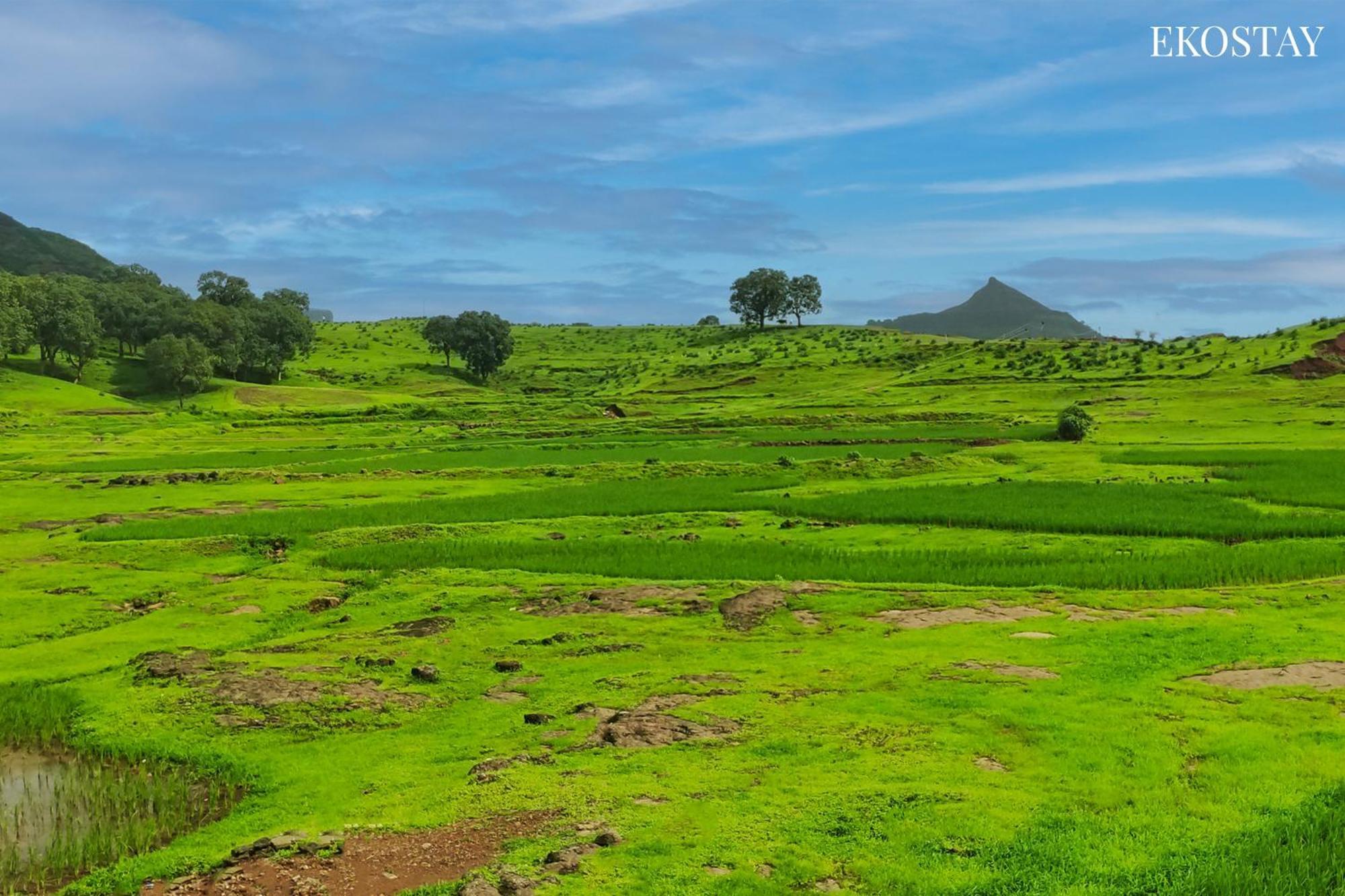 Ekostay - Neptune Villa Igatpuri Dış mekan fotoğraf